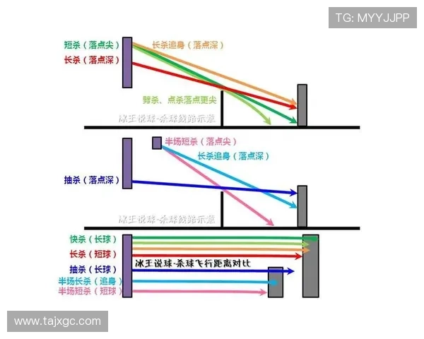 南京羽毛球队进攻体系解析与战术运用探讨