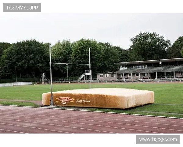 足球明星薄荷糖的魅力揭秘与健康益处分析 足球明星薄荷糖的魅力揭秘与健康益处分析