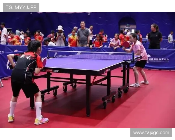 成都乒乓球队耐力对比深入分析及其训练方法探讨