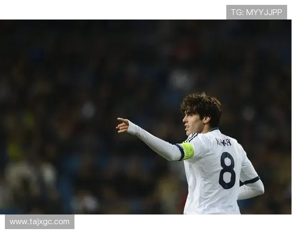 伤病无情足球明星的辉煌与遗憾之路