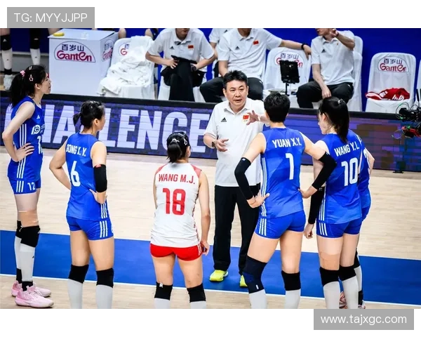 南京排球队个人能力分析与提升策略探讨