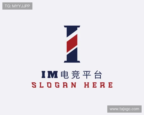 了解&#x69;&#x6d;&#x7535;&#x7ade;